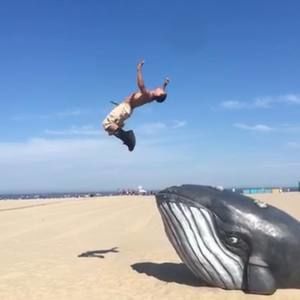 Meet your Posher, Corey